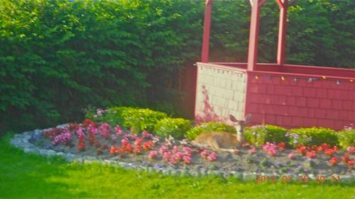 Bed & Breakfast Pillsbury Guest House