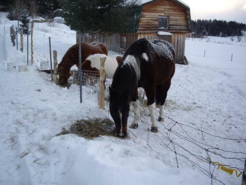 Bed & Breakfast Le Canard M�deau