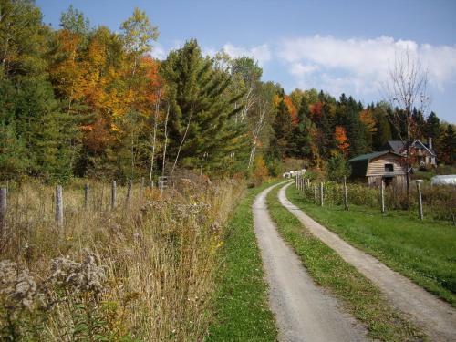 Bed & Breakfast Le Canard M�deau