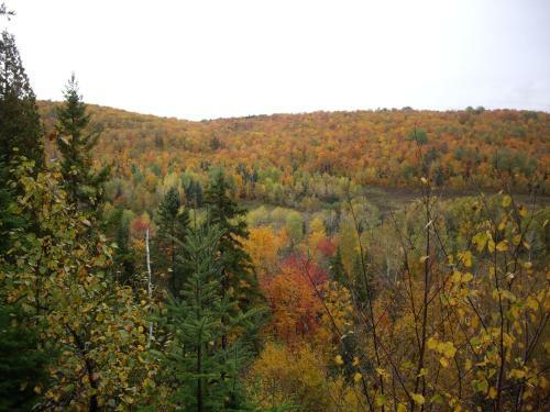 Bed & Breakfast Le Canard M�deau