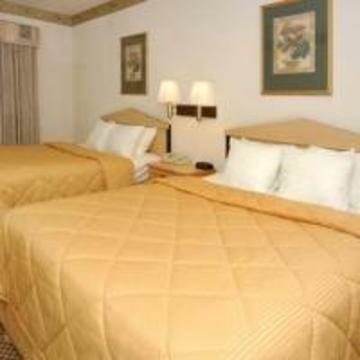 Hotel Comfort Inn & Suites