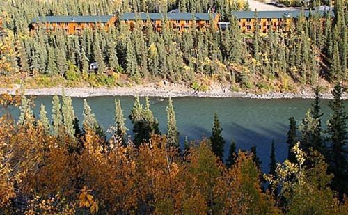 Lodge Denali Grizzly Bear Resort