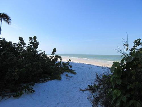 Bermuda Dunes #201 Apartment