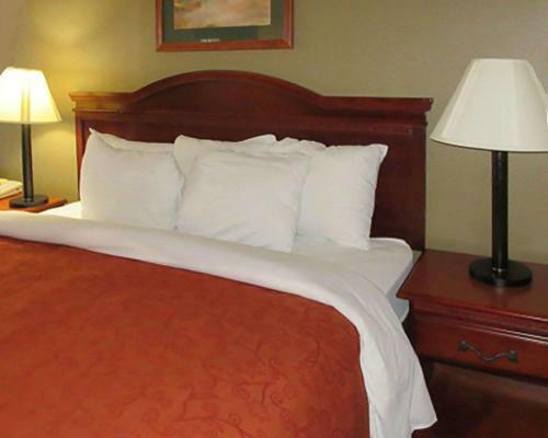 Hotel Rodeway Inn Walterboro