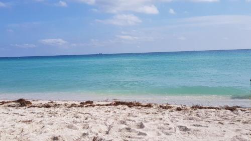 Apartamento Bright 1 Bedroom On Ocean Dr 204