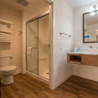 Hotel Hampton Inn Waynesboro
