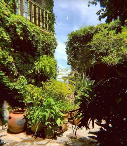 Hotel Hacienda Las Amantes