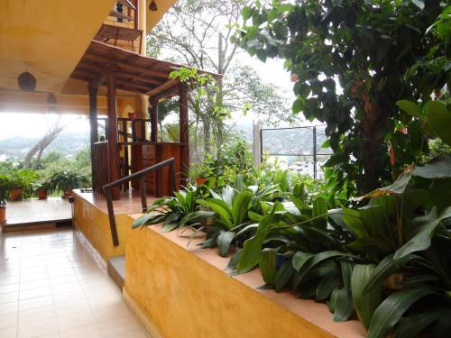 Hotel Casa Adriana