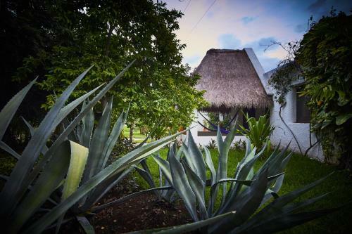 Eco Boutique Hotel Amarte
