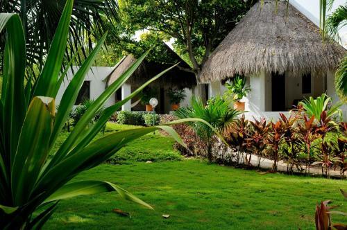 Eco Boutique Hotel Amarte