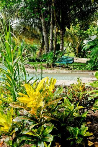 Eco Boutique Hotel Amarte
