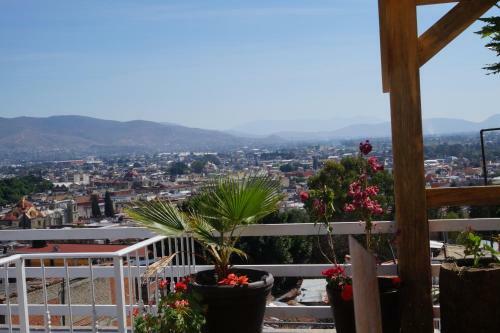 Apartamento Casa Sicar�