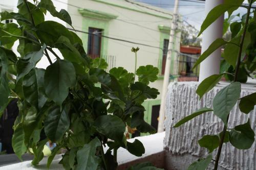 Apartamento Casa Sicar�