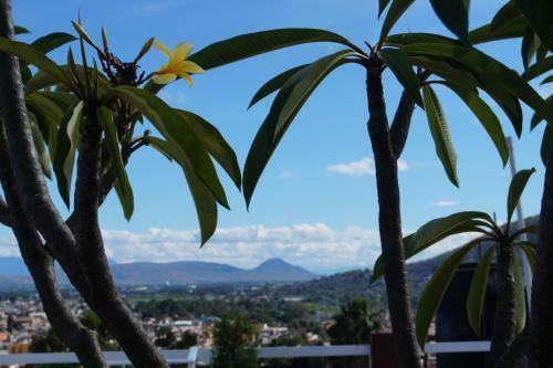 Apartamento Casa Sicar�