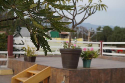 Apartamento Casa Sicar�