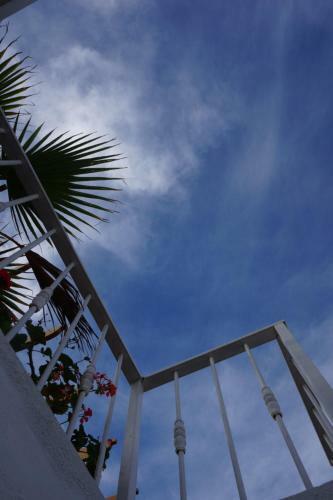 Apartamento Casa Sicar�
