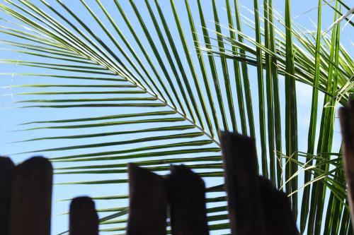 Albergue Emotion Tulum Hotel & Hostal