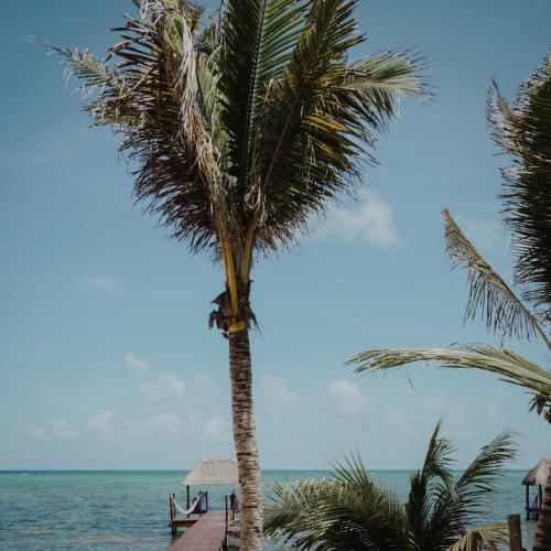 Hotel Cielo Maya Beach Tulum