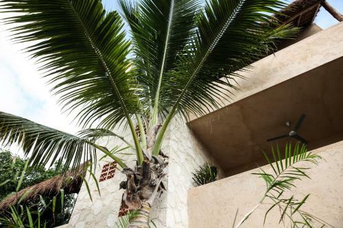 Apartamento Casa Kankin