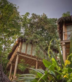 Hotelito Mio Boutique Hotel