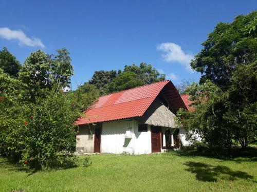 Ecolodge Naha - Selva Lacandona