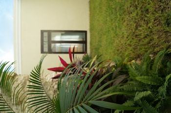 Hotel Casa Palomino