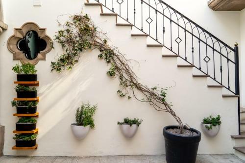 Hotel Casa Delphine