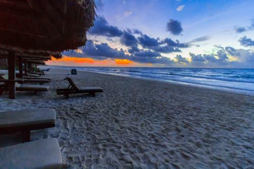 Alma Tulum Hotel Boutique