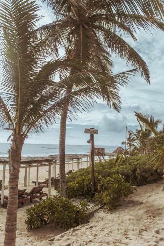 Alma Tulum Hotel Boutique