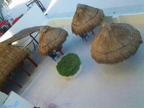 Apartamento Salvia Condominio