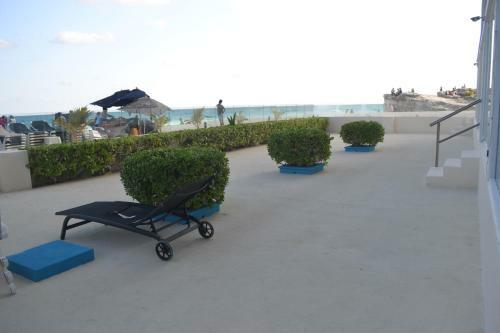 Apartamento Salvia Condominio