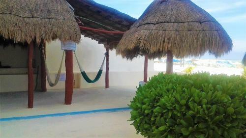 Apartamento Salvia Condominio