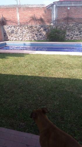 Agroturismo Casa En Oaxtepec