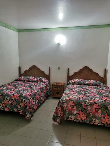 Hotel La Jungla