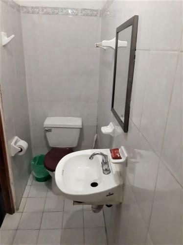 Hotel La Jungla