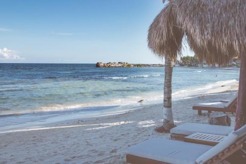 El Pez A Colibri Boutique Hotel