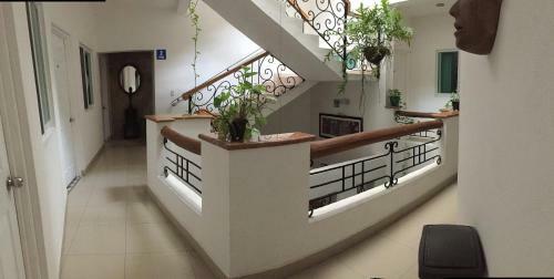 Hotel Casa Del Parque Vallarta