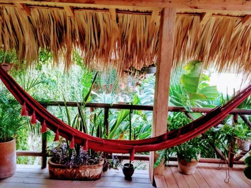Hotel Casa Oaxaca