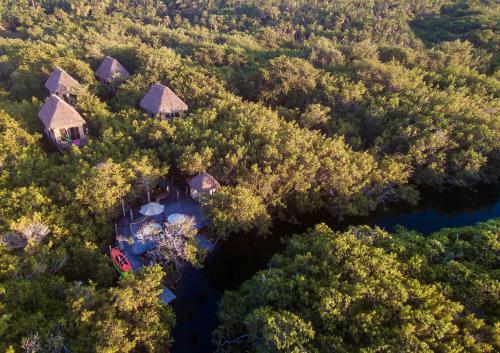 Manglex Eco-hotel
