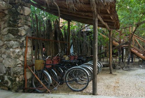 Manglex Eco-hotel