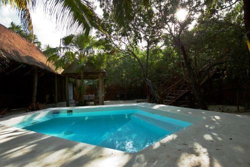 Manglex Eco-hotel
