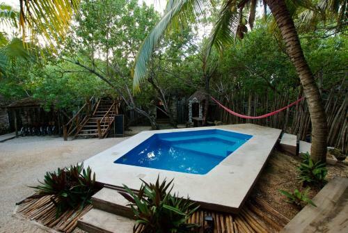 Manglex Eco-hotel