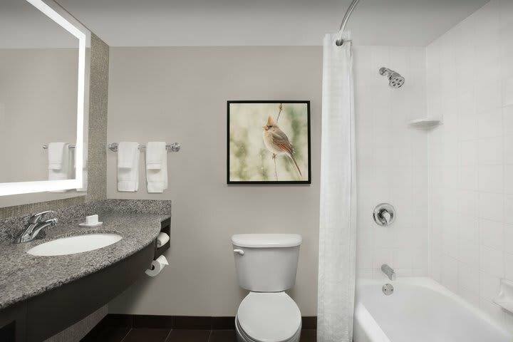 Hotel Hilton Garden Inn Hoffman Estates