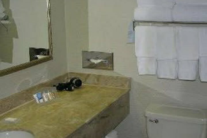 Doubletree Hotel Chicago-wood Dale/itasca