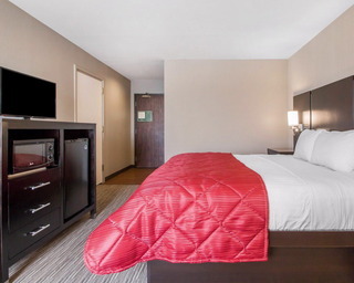 Hotel Comfort Inn