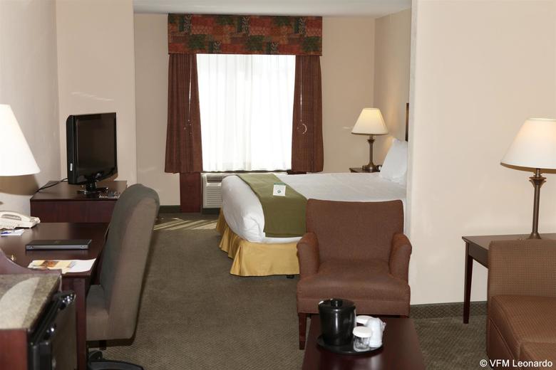 Hotel Comfort Suites Medical District