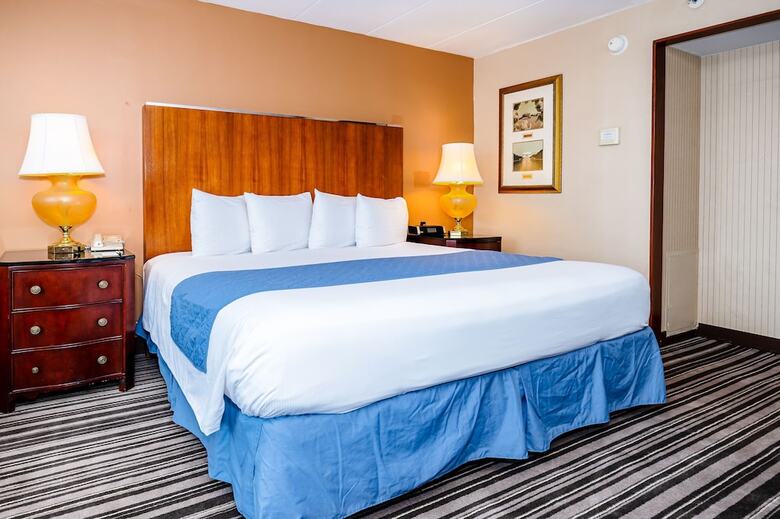 Metro Points Hotel Washington North (four Points)