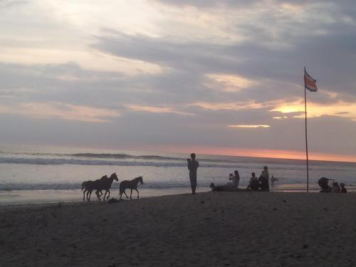 Hotel Playa Santa Teresa