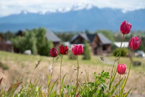 Lodge Caba�as Trevelin