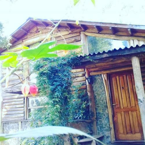 Bed & Breakfast Caba�as Las Moras